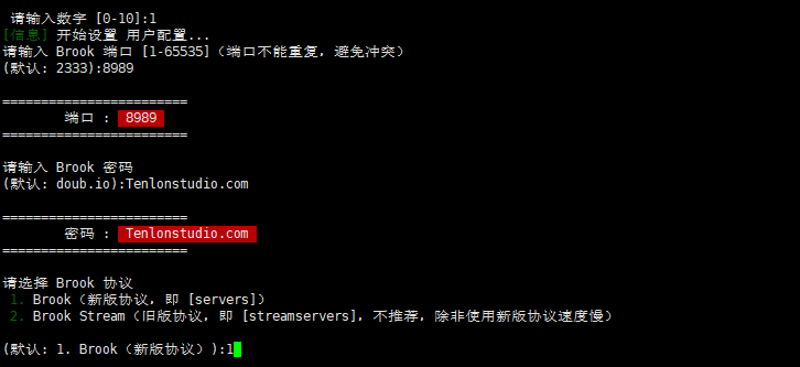 如何搭建Brook实现自由上网？插图3