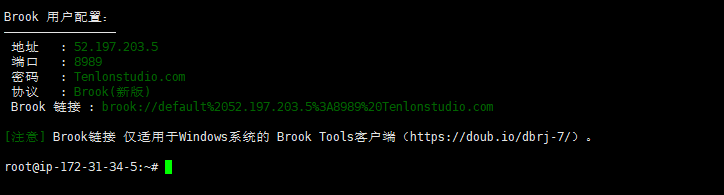 如何搭建Brook实现自由上网？插图4