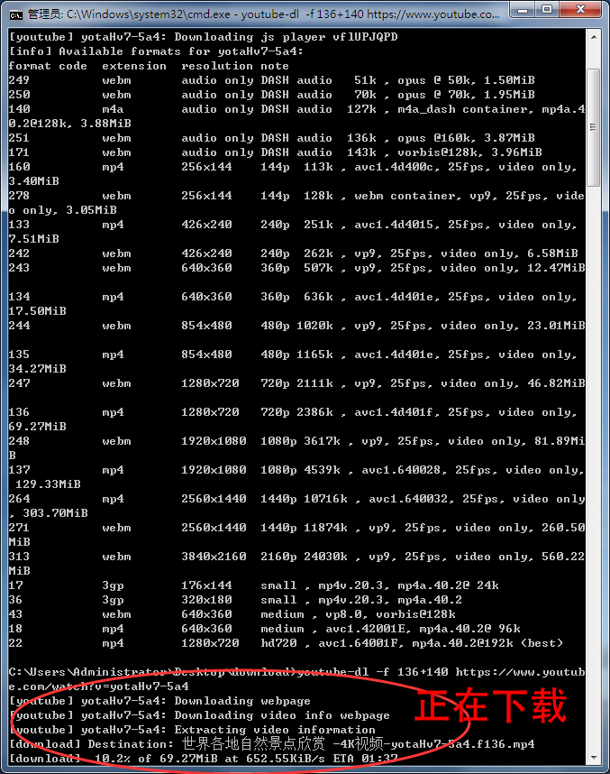 如何下载Youtube上的视频？一条命令就解决