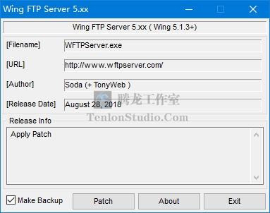 FTP服务器软件 Wing FTP Server v6.1.3 企业版插图2