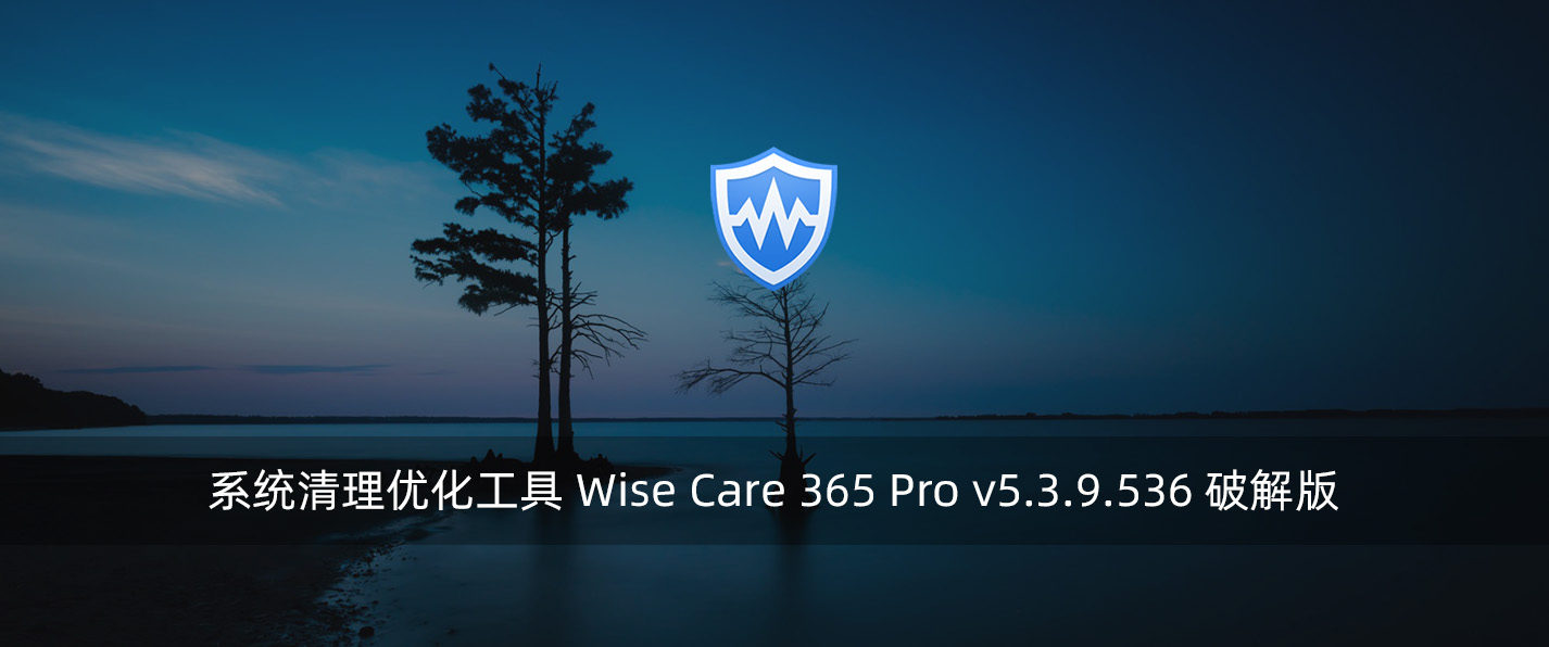 系统清理优化工具 Wise Care 365 Pro v5.3.9.536 破解版-腾龙工作室