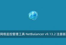 网络监控管理工具 NetBalancer v9.13.2 注册版-腾龙工作室