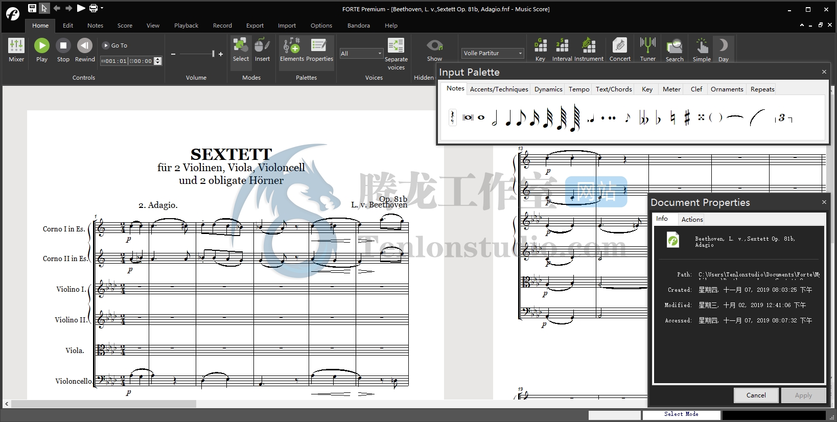 音乐制谱软件 Forte Notation FORTE 11 Premium v11.1.0 破解版