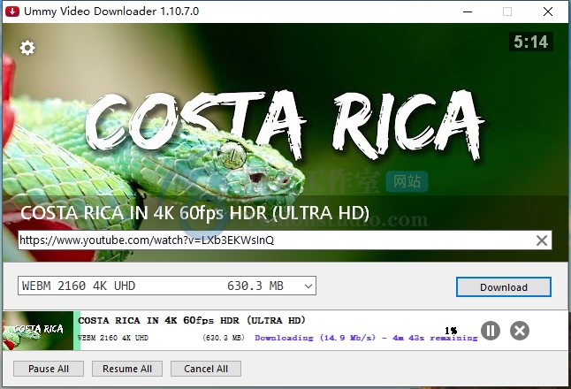 油管下载工具 Ummy Video Downloader v1.10.10.0 破解版插图