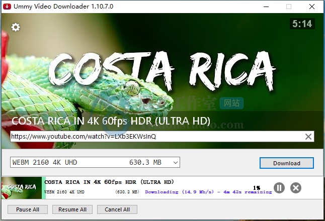 油管下载工具 Ummy Video Downloader v1.10.10.0 破解版