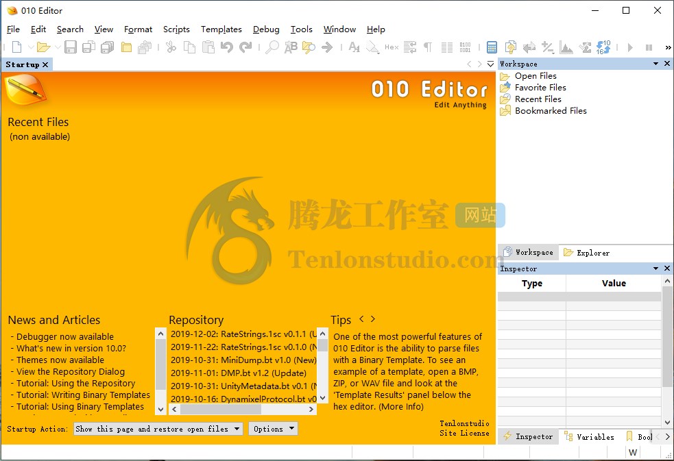 高级文本编辑器 SweetScape 010 Editor v10.0 破解版插图