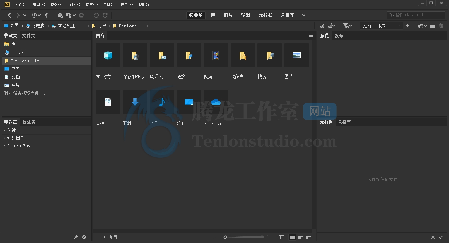 数字资产管理软件 Adobe Bridge 2019 v9.1.0.338 破解版