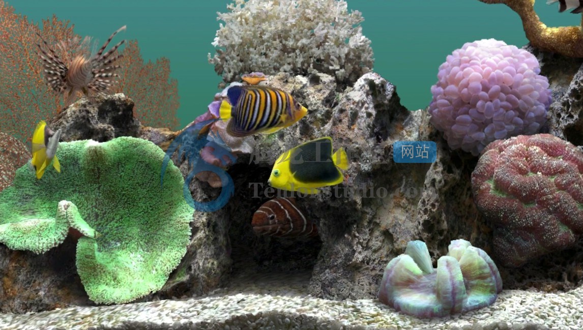 屏幕保护程序 SereneScreen Marine Aquarium v3.3.6381 破解版