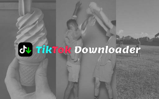 TikTok下载器 TikTok Downloader v3.1.1 破解版