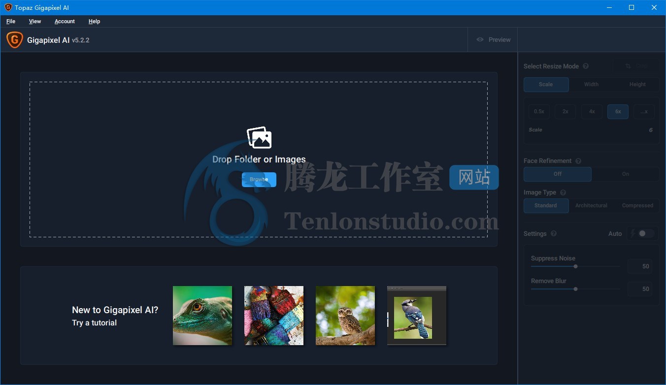 黄玉图像AI无损放大工具 Topaz Gigapixel AI v5.2.3 破解版