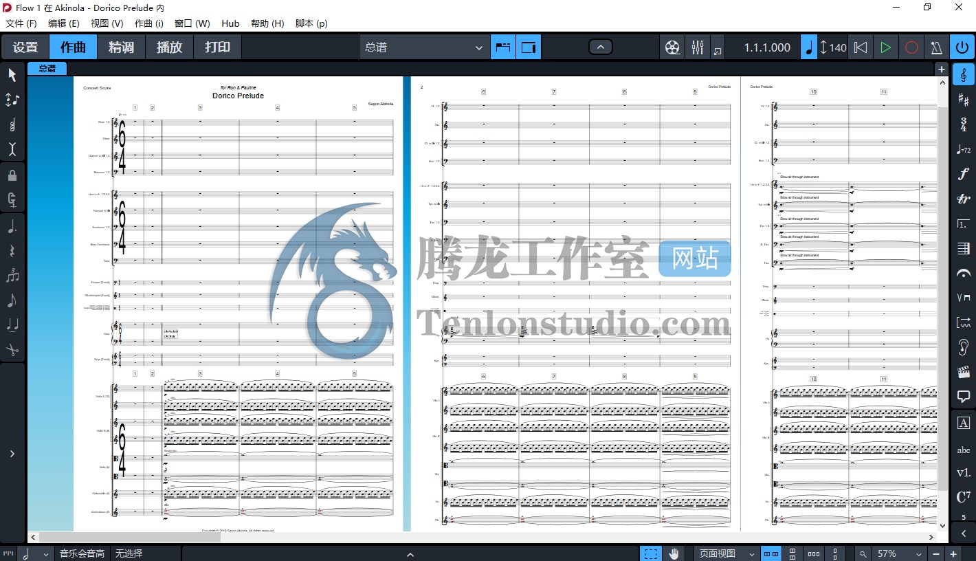 乐谱制作软件 Steinberg Dorico Pro v3.5.0.1020 破解版 –