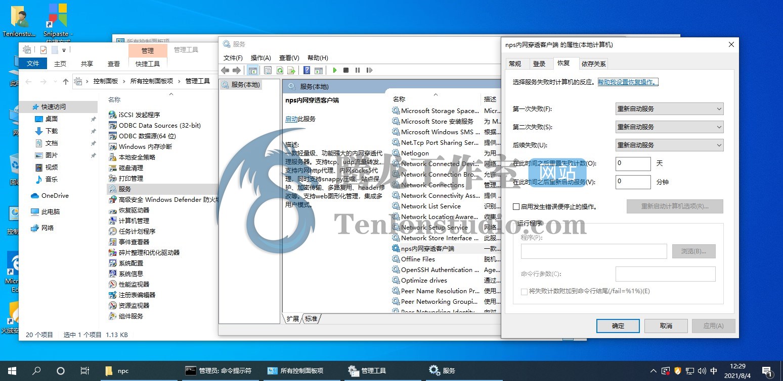 自带WEB管理的轻量级内网穿透工具NPS的简单搭建使用教程插图7 自带WEB管理的轻量级内网穿透工具NPS的简单搭建使用教程插图7