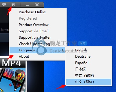 DVD视频转码工具 WonderFox DVD Video Converter v29.7 便携破解版插图3 DVD视频转码工具 WonderFox DVD Video Converter v29.7 便携破解版插图3