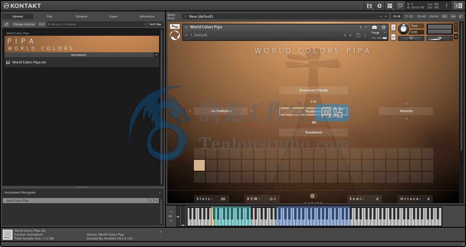 Evolution Series World Colors Pipa v1.0.0 – Kontakt中国传统弹拨乐器琵琶音色库插图