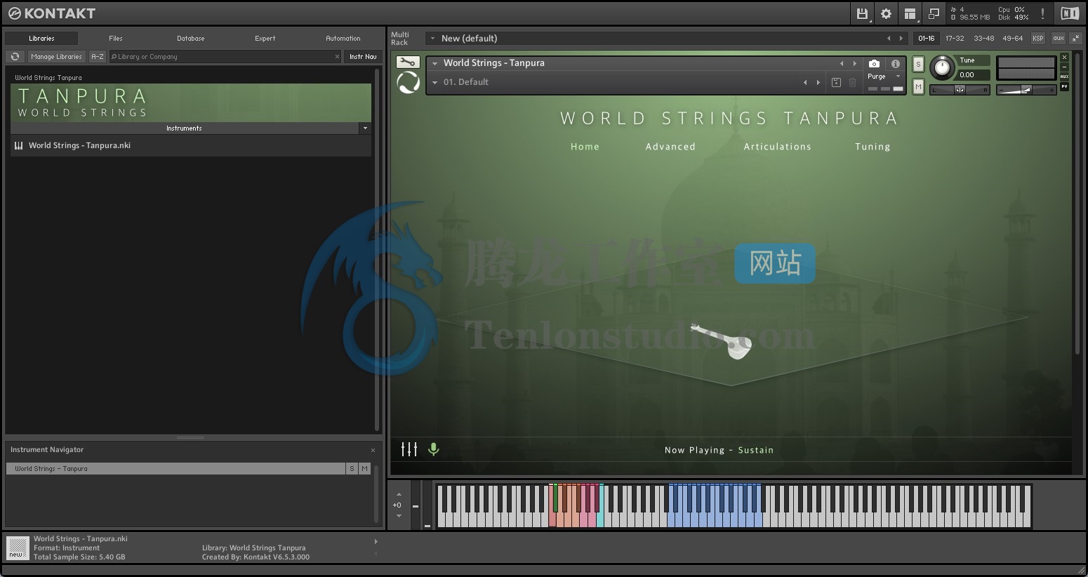 Evolution Series World Strings Tanpura v1.0.0 – Kontakt印度长颈弹拨乐器Tanpura音色库插图