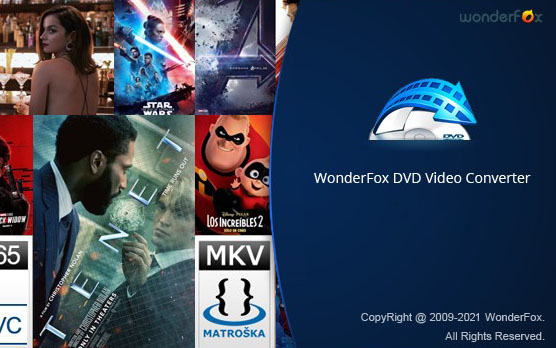 DVD视频转码工具 WonderFox DVD Video Converter v27.5 便携破解版