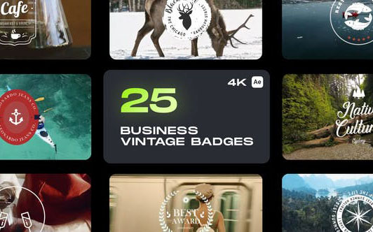 【AE模板】Pixflow Business Vintage Badges - 25个商务复古徽章展示动画