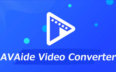 视频转码软件 AVAide Video Converter v1.2.12 破解版