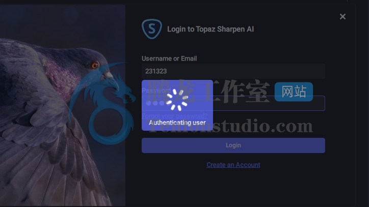 黄玉AI图像锐化工具 Topaz Sharpen AI v4.1.0 便携破解版插图2 黄玉AI图像锐化工具 Topaz Sharpen AI v4.1.0 便携破解版插图2