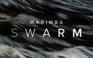 Spitfire Audio Marimba Swarm – Kontakt马林巴琴音色库