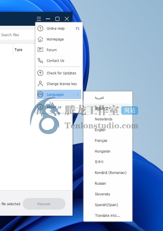 数据恢复软件 Wise Data Recovery v6.1.4.496 便携破解版插图3 数据恢复软件 Wise Data Recovery v6.1.4.496 便携破解版插图3