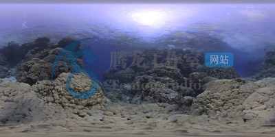 Dosch Design HDRI Underwater – 水下海底世界场景HDR贴图插图4 Dosch Design HDRI Underwater – 水下海底世界场景HDR贴图插图4