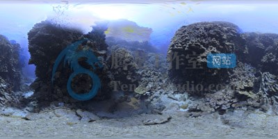 Dosch Design HDRI Underwater – 水下海底世界场景HDR贴图插图3 Dosch Design HDRI Underwater – 水下海底世界场景HDR贴图插图3