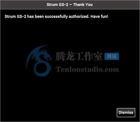 Applied Acoustics Systems Strum GS-2 v2.4.2 电吉他音效插件插图5