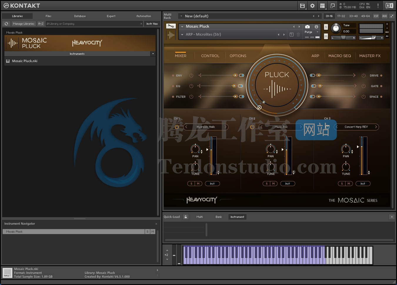 Heavyocity Mosaic Pluck (Kontakt) 传统弹拨乐器音色库插图