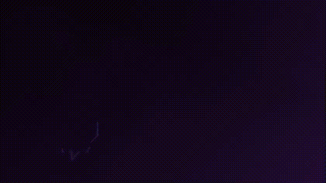 Bounce Color Twitch Animated Elements 推趣标志和文字动画视频素材插图1 Bounce Color Twitch Animated Elements 推趣标志和文字动画视频素材插图1