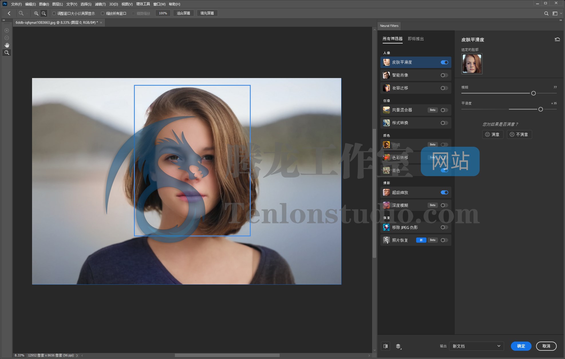 Adobe Photoshop 2023 Neural Filters 神经网络滤镜离线包(仅适用于PS 2023)插图1 Adobe Photoshop 2023 Neural Filters 神经网络滤镜离线包(仅适用于PS 2023)插图1
