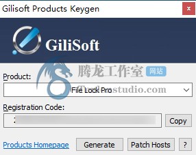 文件文件夹加密软件 GiliSoft File Lock Pro v12.6 破解版插图2 文件文件夹加密软件 GiliSoft File Lock Pro v12.6 破解版插图2