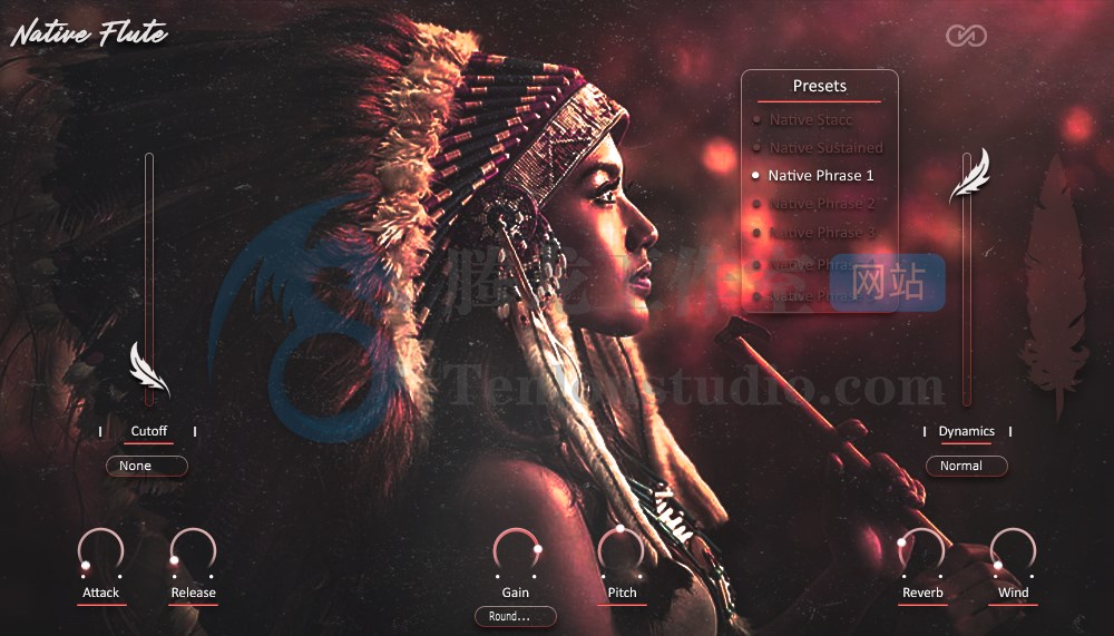 虚拟长笛插件 Infinite Audio Native Flute v1.01 破解版插图 虚拟长笛插件 Infinite Audio Native Flute v1.01 破解版插图