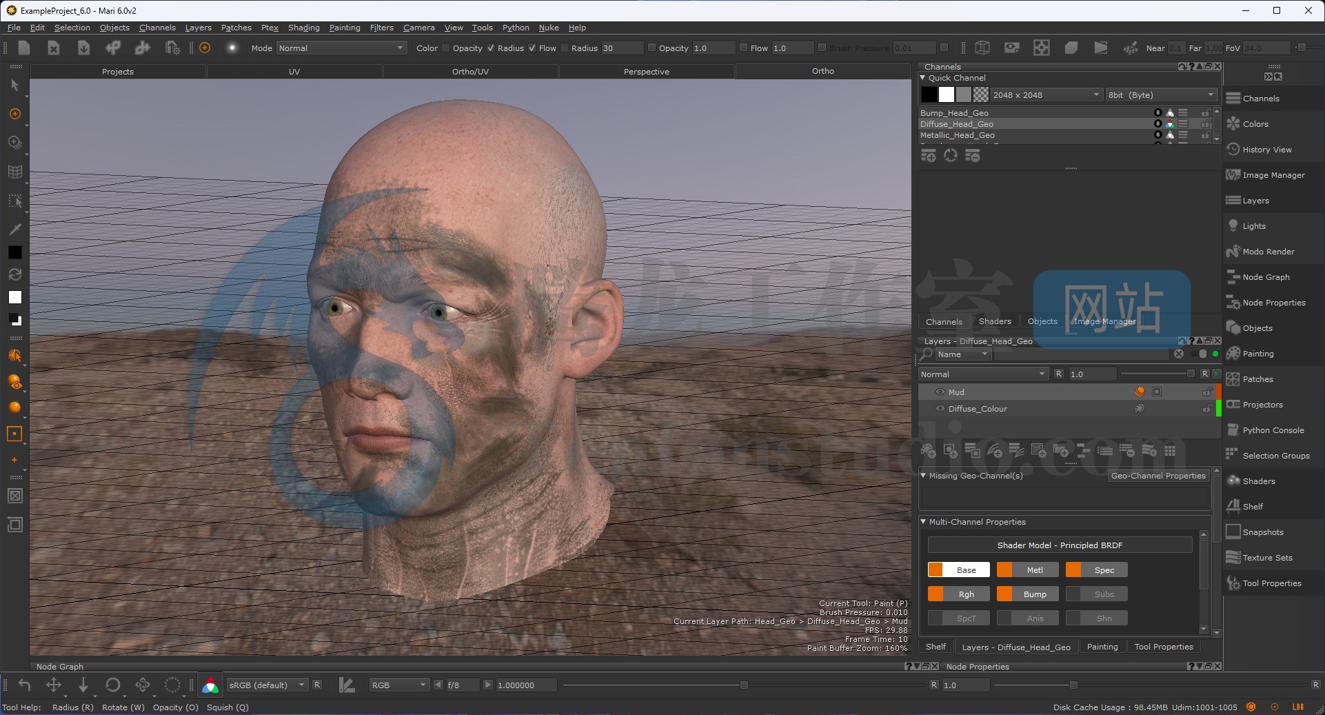 3D纹理绘画软件 The Foundry Mari 6.0v2 破解版插图 3D纹理绘画软件 The Foundry Mari 6.0v2 破解版插图