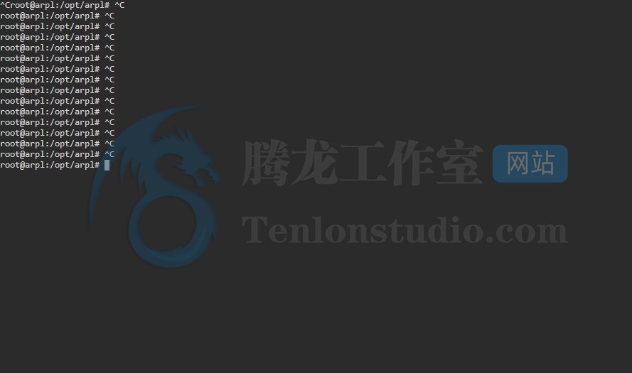 小白也行,超简单安装黑群晖7.X!利用ARPL在线编译黑群晖7.X引导插图18 小白也行,超简单安装黑群晖7.X!利用ARPL在线编译黑群晖7.X引导插图18