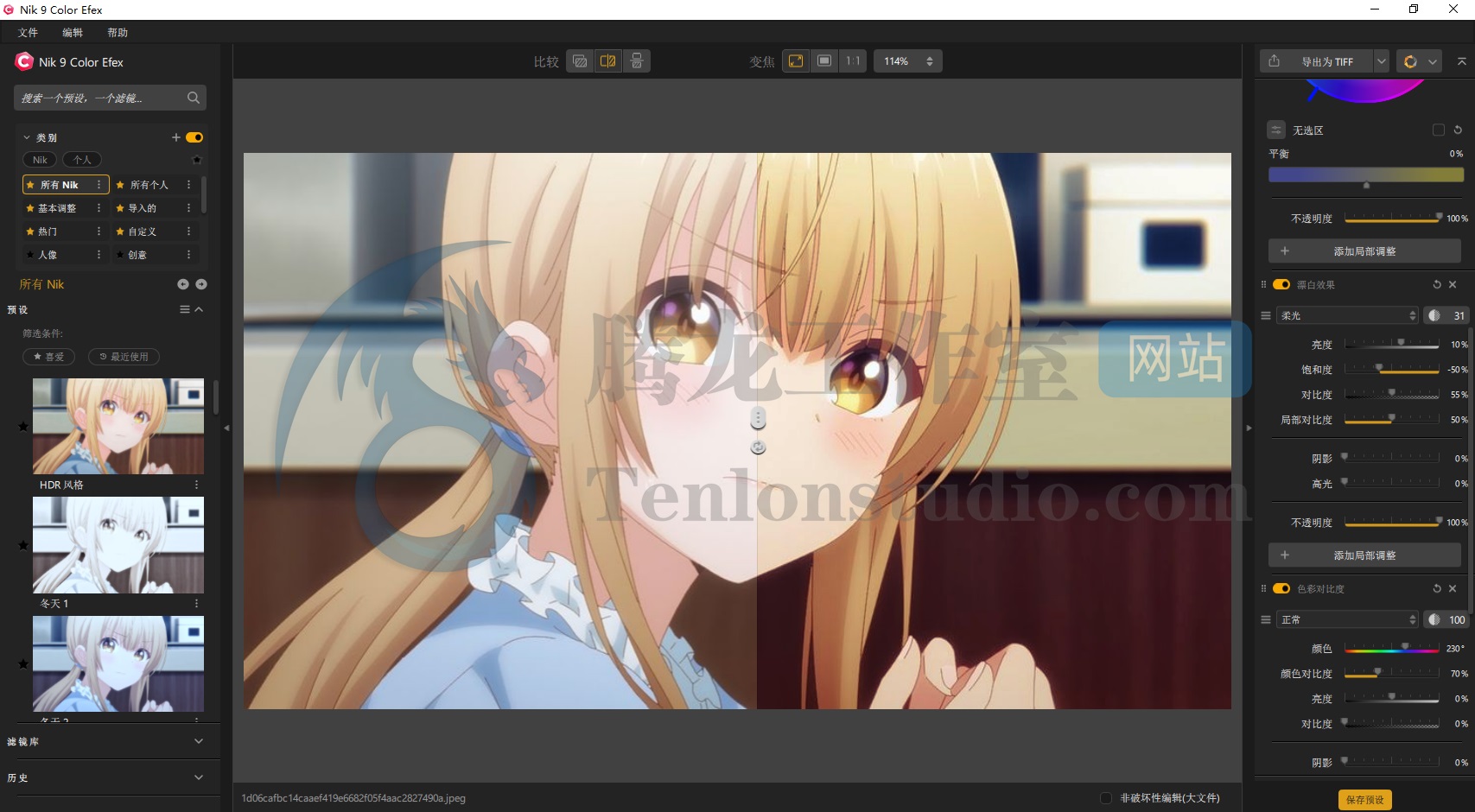 Nik Collection by DxO v9.0.0.11 图像处理软件