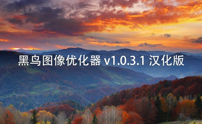 黑鸟图像优化器 v1.0.3.1 汉化版