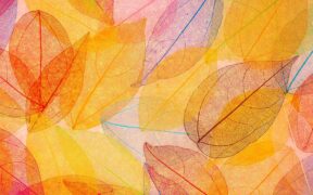 【娱乐向】利用网页挖矿将网站访客变现