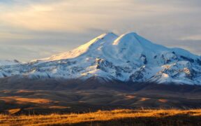 随音播放器 免费的QQ音乐无损下载器