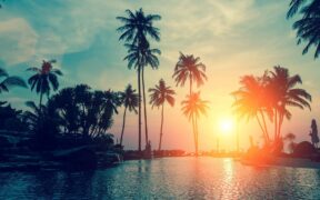 百度网盘搜索工具PanHelper 可自动获取部分文件提取密码