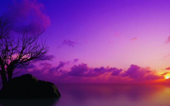 Symantec Endpoint Protection14.2 下载