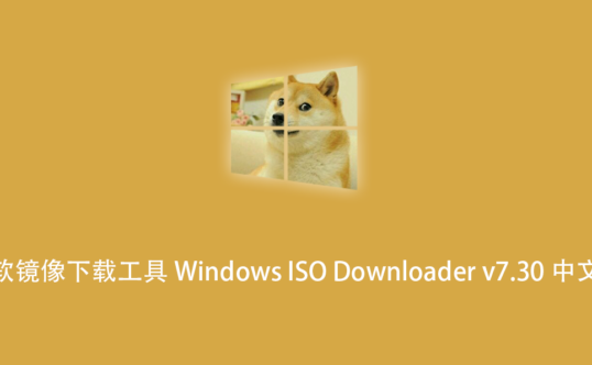 微软镜像下载工具 Windows ISO Downloader v7.30 中文版