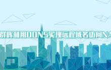 黑群晖利用DDNS实现远程域名访问NAS