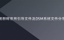 黑群晖常用引导文件及DSM系统文件分享