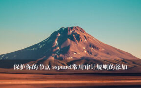 保护你的节点 sspanel常用审计规则的添加