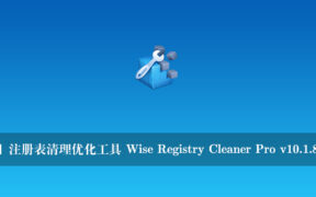 【正版软件】注册表清理优化工具 Wise Registry Cleaner Pro v10.1.8.679 完整版
