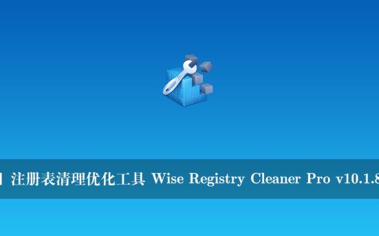 【正版软件】注册表清理优化工具 Wise Registry Cleaner Pro v10.1.8.679 完整版