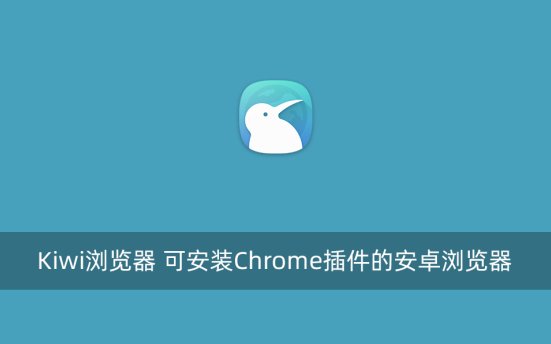 Kiwi浏览器 可安装Chrome插件的安卓浏览器