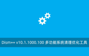 Dism++ v10.1.1000.100 多功能系统清理优化工具