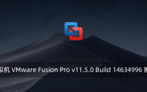 MAC虚拟机 VMware Fusion Pro v11.5.0 Build 14634996 附注册机